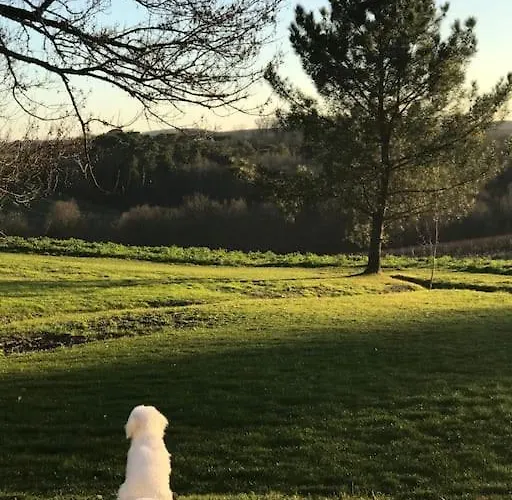 Apartman Le Nid Du Vallon Pomport